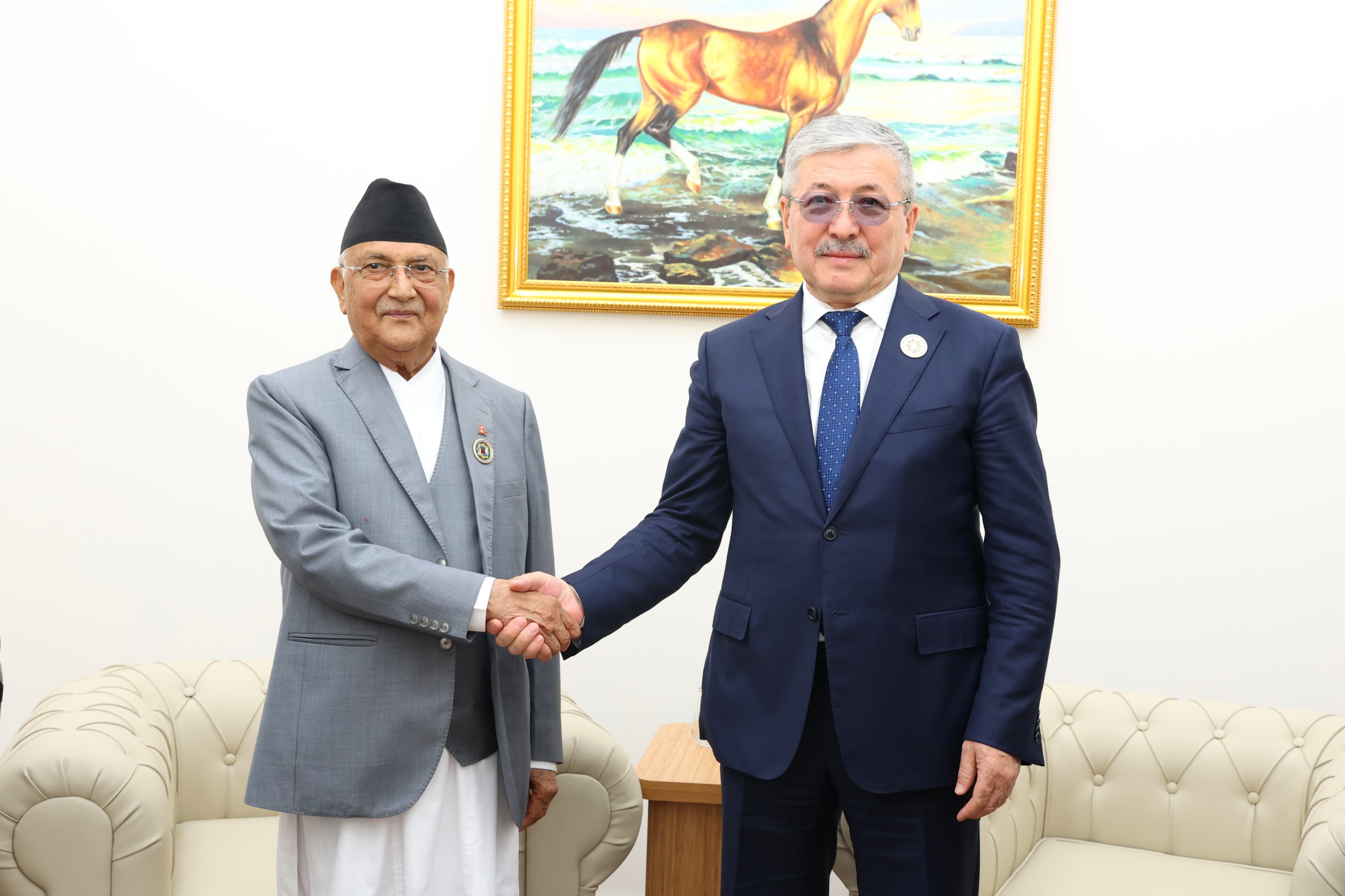 Image of https://mayorsap.com/storage/photos/10/Pm Oli.jpeg